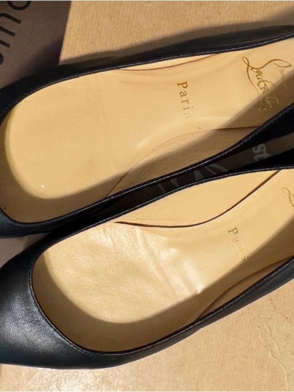 Christian Louboutin Black Leather Pointed